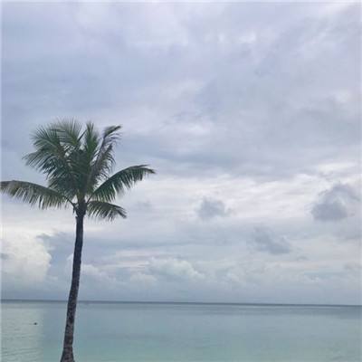 金箍棒ol多酷版下载
