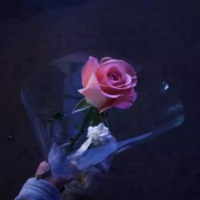 射雕三部曲加强版下载